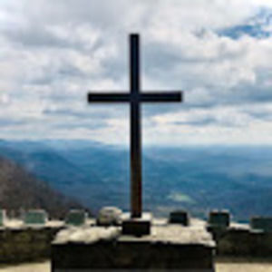 Meet your Posher, Dixie